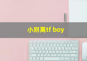 小别离tf boy